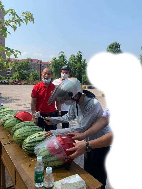 息县吃瓜事件,一场网络舆论的风暴与反思