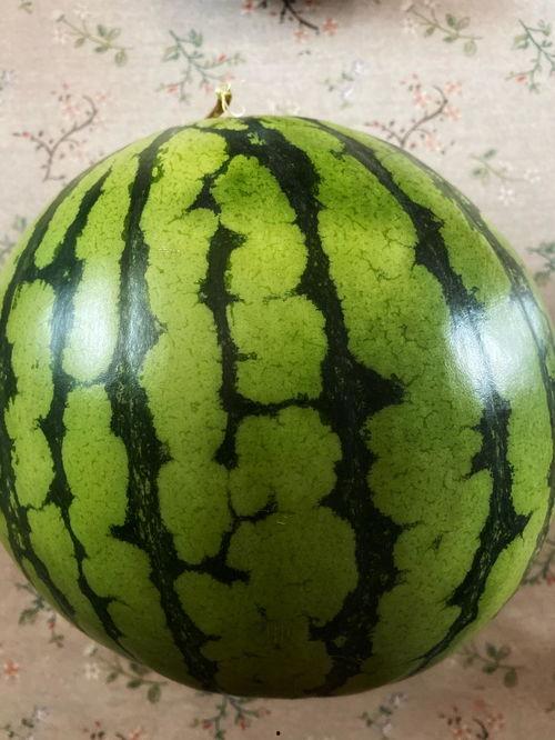 宝宝表演吃瓜技术,萌化人心的表演瞬间