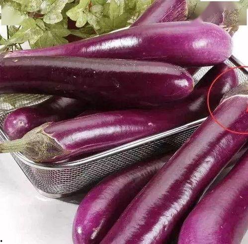 茄子鬼畜视频吃瓜,吃瓜群众的热议焦点