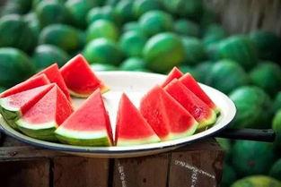 苏小姐吃瓜,一场甜蜜的吃瓜盛宴