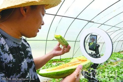 种瓜吃瓜卖瓜文案短句,种瓜吃瓜卖瓜,共享丰收喜悦