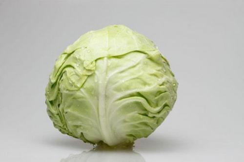 卷心菜和福寿瓜一起吃吗,营养互补的美食探索