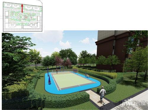 乌鲁木齐金科吃瓜,揭秘背后真相与争议