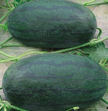 山东翰林府吃瓜事件,邻里纠纷引发社会关注