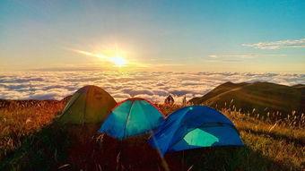 吃瓜露营摄影图片,捕捉瓜田里的美好瞬间