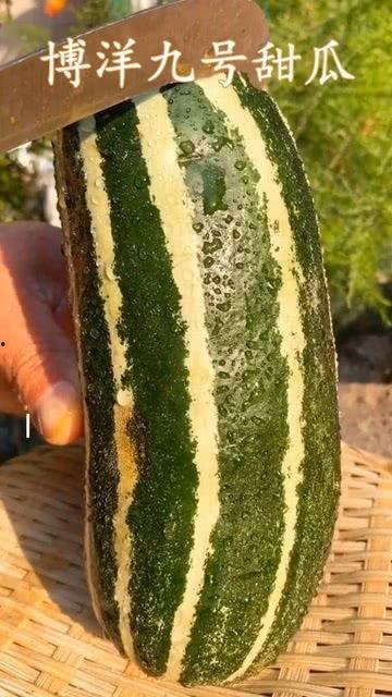 瓜怎么吃生吃还是熟吃,探索不同吃法,尽享瓜果美味