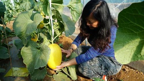 带你吃瓜集合诗,诗中窥见人间烟火