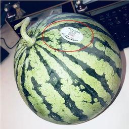 网红独家吃瓜,带你领略娱乐圈幕后风云