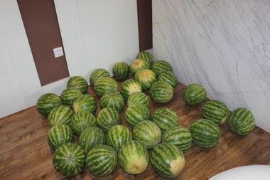 红星吃瓜社,揭秘娱乐圈幕后风云，带你领略明星们的真实生活