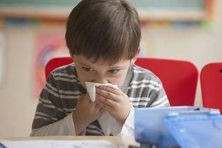 宝宝吃赖瓜好吗,赖瓜的营养价值与食用指南