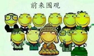 祝你每天有瓜可吃,每日瓜趣生活分享