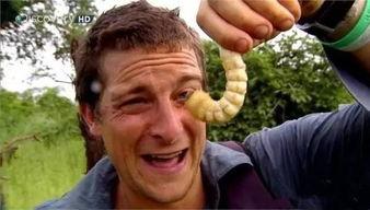 吃瓜群1572468,一场全民参与的趣味盛宴