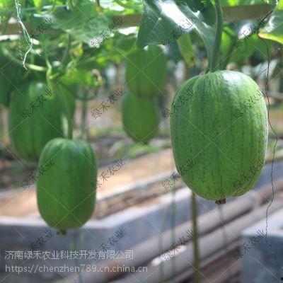 春秋影后吃瓜,吃瓜群众眼中的娱乐圈风云