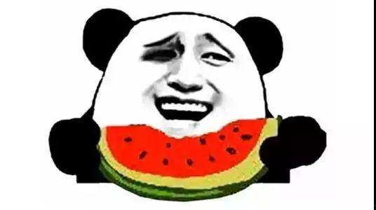 吃瓜群2942911,一场全民参与的娱乐盛宴