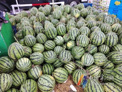 宁波教师吃瓜,一场“吃瓜”背后的校园饮食安全探讨