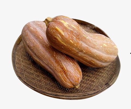 狗头吃瓜素材高清,萌态十足，高清素材带你领略萌宠魅力