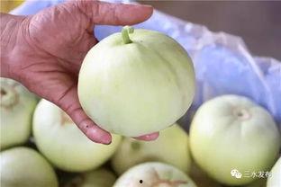 三水甜心吃瓜,揭秘甜蜜背后的瓜界风云