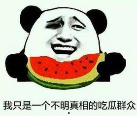 吃瓜误了你哪些事,那些被误读的真相与教训