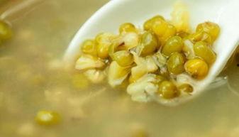 吃瓜吃绿豆汤视频下载