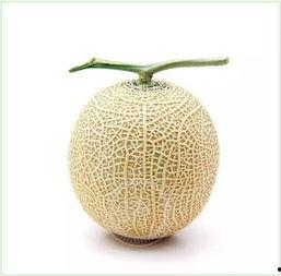 吃瓜群众乐事,揭秘娱乐圈幕后趣闻