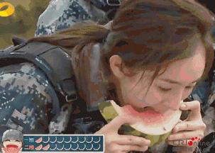 沈阳吃瓜秒男,一场校园风波的瞬间发酵