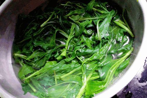 吃瓜尖发病吗,揭秘瓜尖食用风险