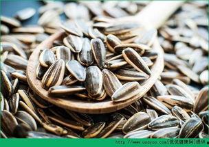 吃瓜指吃瓜子吗,揭秘“吃瓜”一词的真正含义