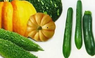 郑州吃内脏的瓜,探寻地道的内脏风味之旅