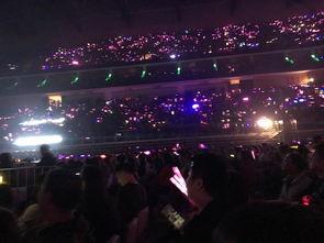 演唱会吃瓜,吃瓜群众的热闹盛宴