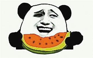 禁毒吃瓜群众视频素材