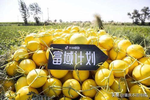 抖音文安吃瓜,揭秘网络热点背后的真相