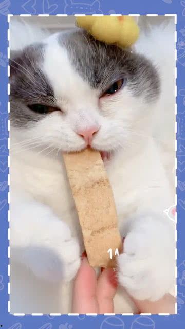 吃瓜喵呜,揭秘娱乐圈那些不为人知的幕后故事