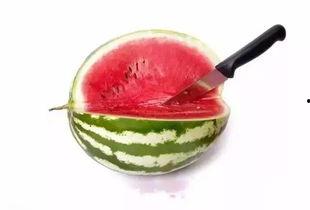 紫瓜吃肉还是吃籽,是吃肉还是吃籽，营养与口感大揭秘