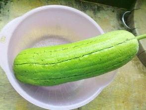 水瓜炒着吃,水瓜炒制，清爽可口的家常菜分享