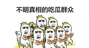 路人吃瓜群众,揭秘娱乐圈幕后真相