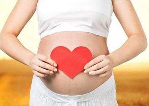 孕妇梦见吃小白瓜男女,吃小白瓜预示男女生儿的神奇寓意