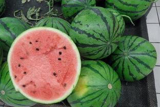 吃瓜网曝热门吃瓜网