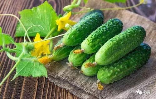 夏天吃哪五瓜,揭秘夏天必吃的五种瓜类