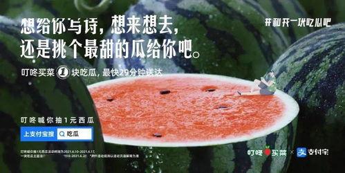 形容吃瓜的文案句子,品鉴那些令人垂涎的文案佳句