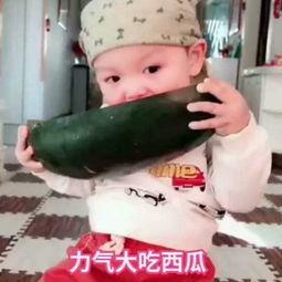 吃瓜视频小朋友,童趣盎然，笑料百出