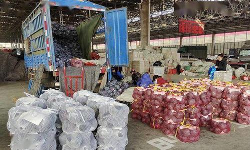 潍坊寿光东城吃瓜,瓜香四溢，品味夏日田园风情