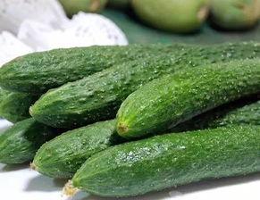 溏便可吃黃瓜吗,黄瓜是否适宜食用？